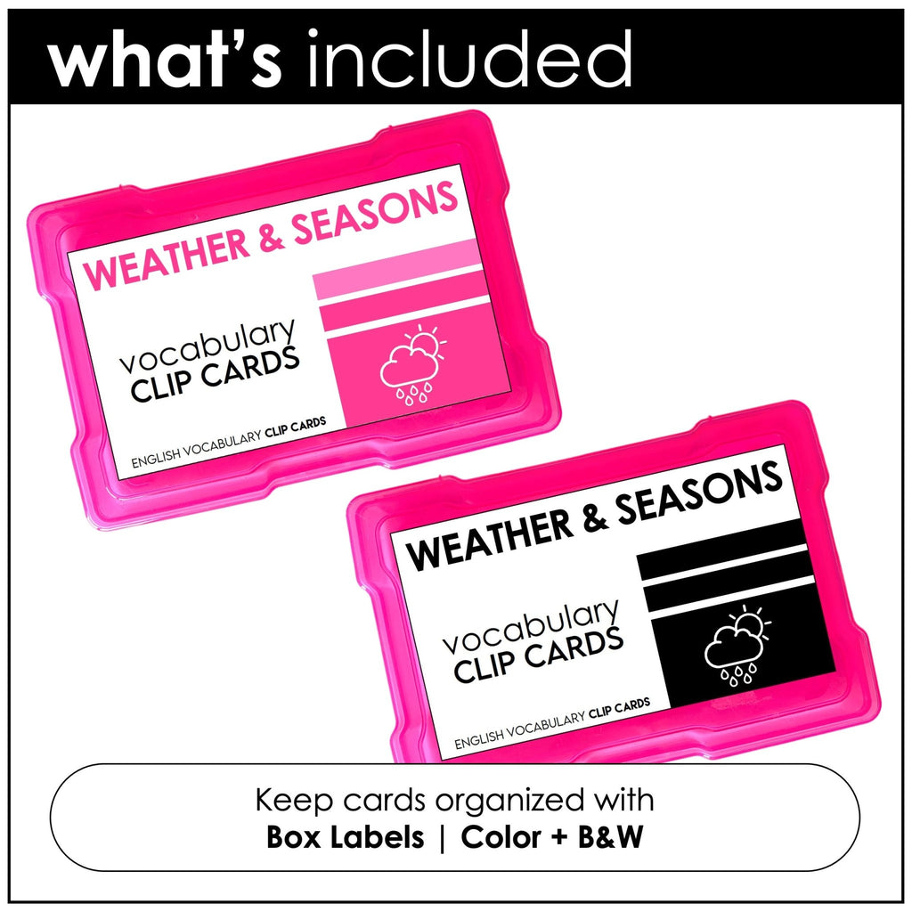 Weather and Seasons Vocabulary CLIP CARD matching activity task cards - Hot Chocolate Teachables