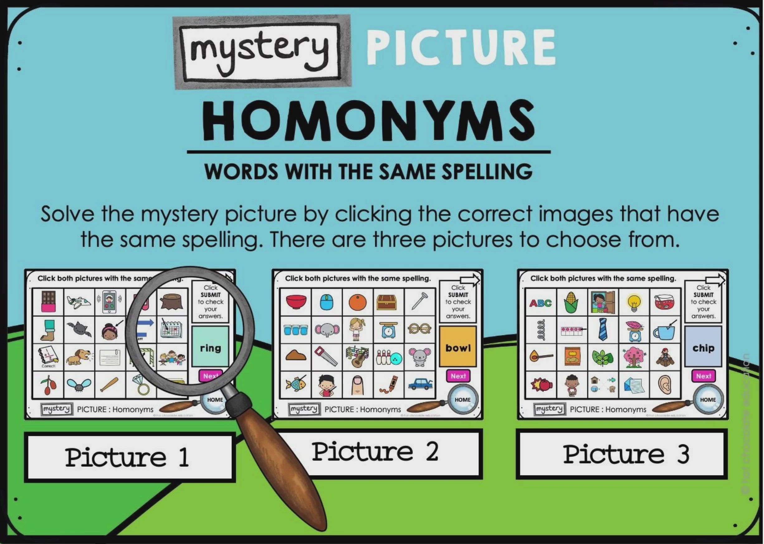 Load video: Homonyms Boom Cards Digital Mystery Picture | Multiple Meaning Words Activity for ESL &amp; ELA