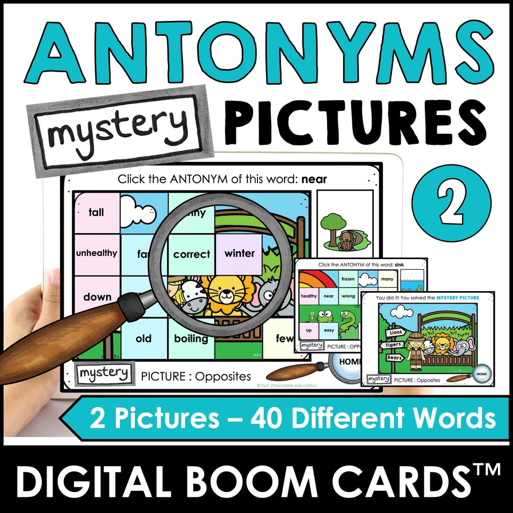 Antonym, Synonym, Homophone, Homonym Mystery Picture Boom Cards™ BUNDLE - Hot Chocolate Teachables