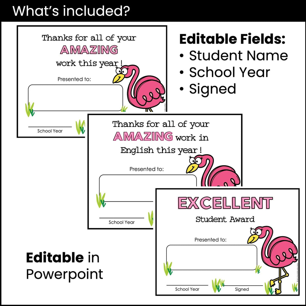 Editable End of Year English Award Certificate - Edit: Name, Year & Signature - Hot Chocolate Teachables