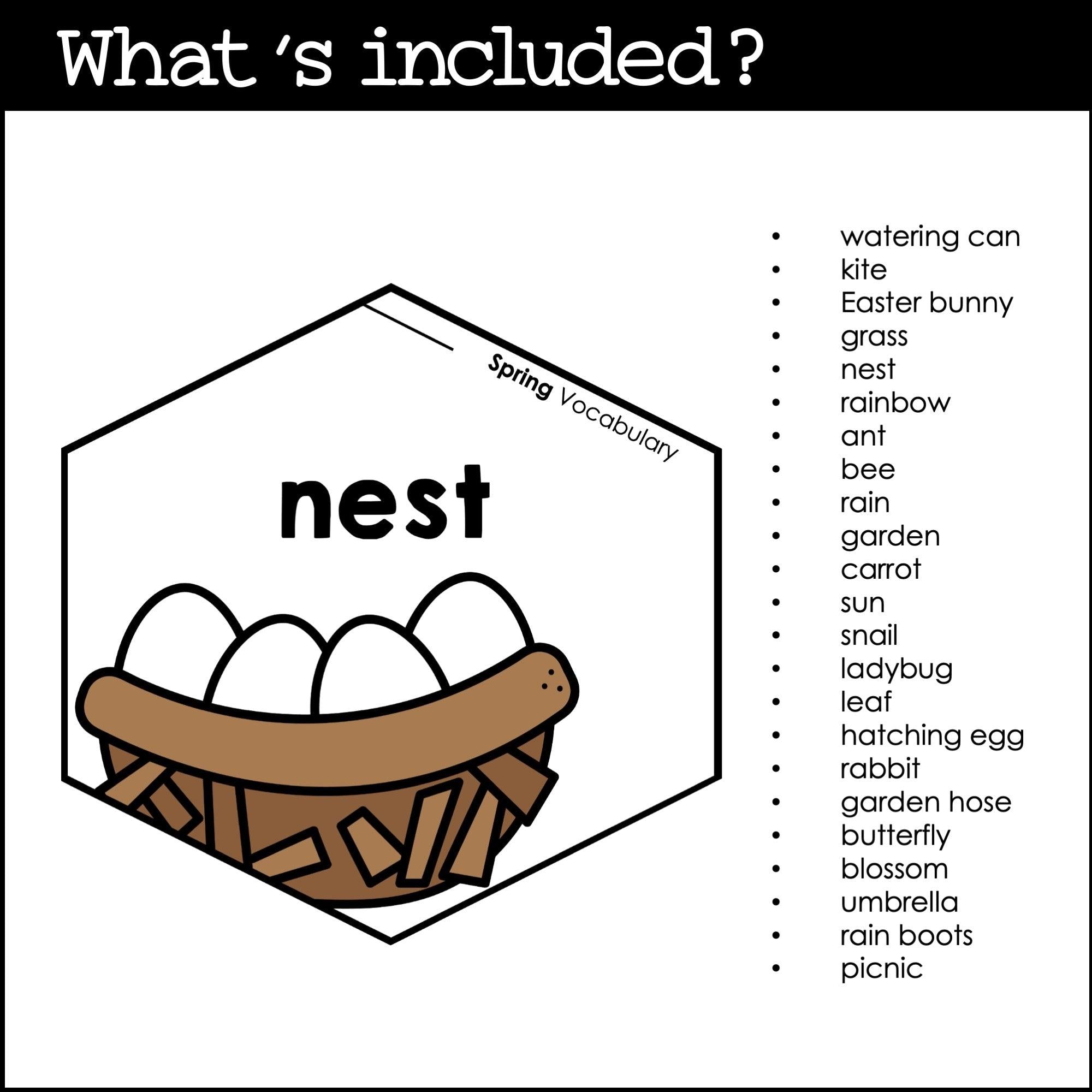 Spring Vocabulary Word Posters | ESL Bulletin Board Display - Word Wall - Hot Chocolate Teachables